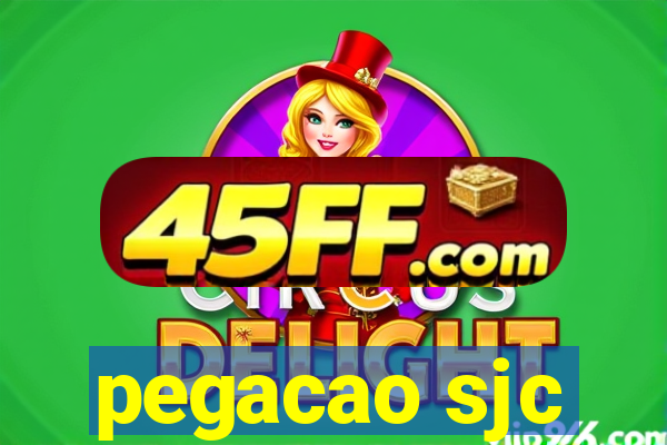 pegacao sjc
